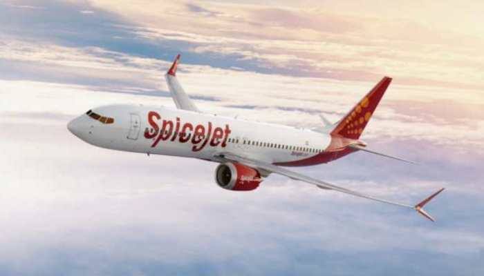 Delhi HC Orders Spicejet, Ajay Singh To Pay Rs 100 cr To Kalanithi Maran: Check Details