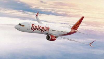 Delhi HC Orders Spicejet, Ajay Singh To Pay Rs 100 cr To Kalanithi Maran: Check Details