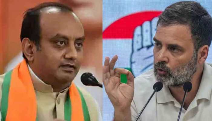 BJP Hits Out At Rahul Gandhi Over China Remark, Says 'Congress MP Prone To Making Baseless, Absurd Comments' 