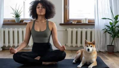 International Dog Day 2023: How Can Puppy Yoga Enhance Your Overall Well-Being
