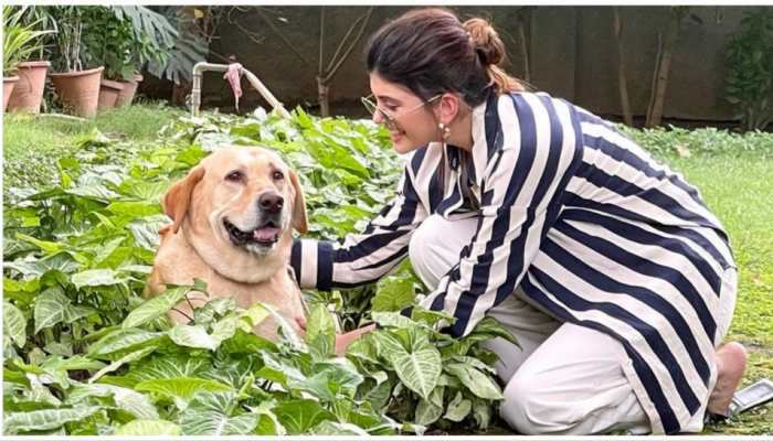 International Dog Day: Actress Sanjana Sanghi Misses Her Four-Legged Best Friend, Shares Adorable Pics - Check Here