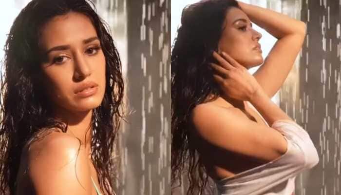 Disha Patani Drops Steamy Video In Printed Bikini, Actress&#039; Wet-Look Leaves Fans Gasping For Breath - Watch 