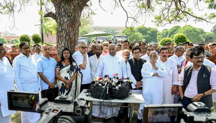 Ahead Of 2024 Lok Sabha Election, INDIA Alliance Faces First Litmus Test In Ghosi