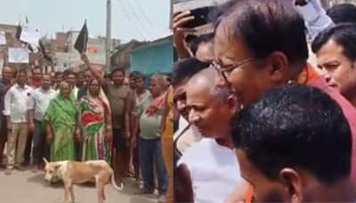 Bihar: Black Flags, 'Go Back' Slogans Greet BJP MP In His Own Constituency