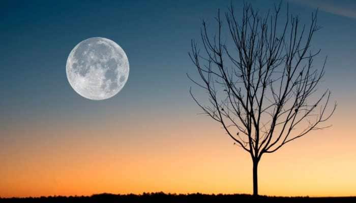 Super Blue Moon On Raksha Bandhan: When, Where And How To Watch Rare Celestial Event 