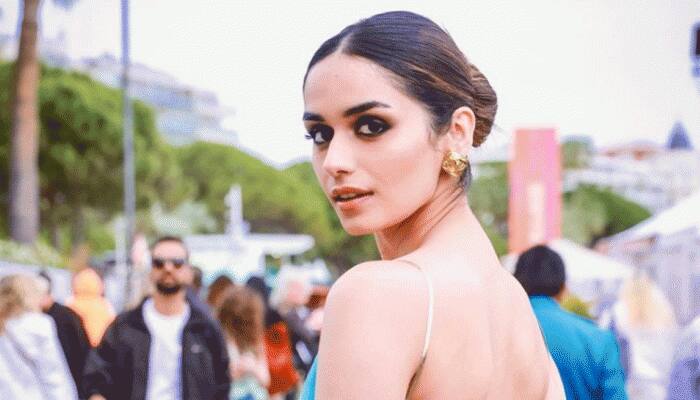 Manushi Chhillar Gets Mobbed By Fans, Actress Obliges For Selfie Requests - Viral Video