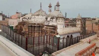 ASI Seeks Eight More Weeks To Complete Gyanvapi Mosque Survey