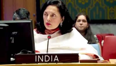 Need A Council Where Voices Of Developing Nations Find Their Place: India At UN
