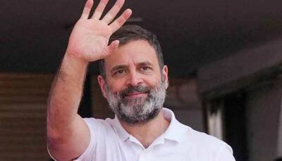 Rahul Gandhi Shares Video On Bharat Jodo March Anniversary, Says 'Yatra Continues Till India...'