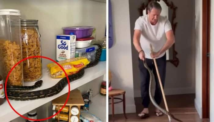 Watch: Glenn McGrath Captures 3 Pythons At Home, Fans Call Him &#039;Snake Catcher&#039;