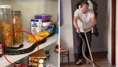 Watch: Glenn McGrath Captures 3 Pythons At Home, Fans Call Him 'Snake Catcher'