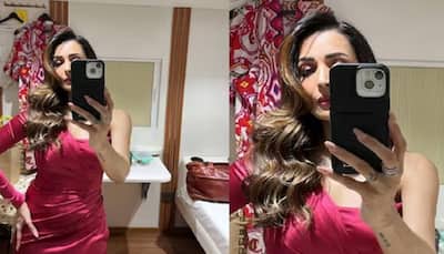 Hottie Alert! Malaika Arora Teases Fans With Stunning Mirror Selfie In Bold Satin Gown