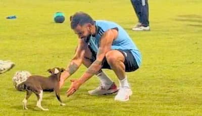 Watch: Virat Kohli Playing With Dog During Team India's Practise Session Ahead Of India vs Pakistan Game In Asia Cup 2023 Super 4s, Video Goes Viral