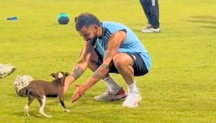 Watch: Virat Kohli Playing With Dog During Team India's Practise Session Ahead Of India vs Pakistan Game In Asia Cup 2023 Super 4s, Video Goes Viral