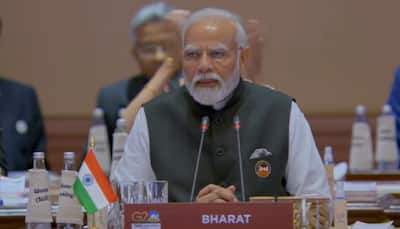 PM Modi Identified As Leader Representing 'Bharat' At G20 Summit