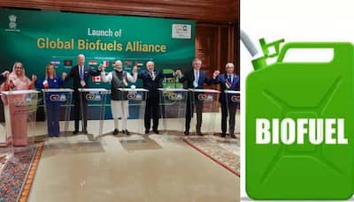 G20 Summit: Global Biofuels Alliance Announced - What Is Biofuel & Its Benefits Explained