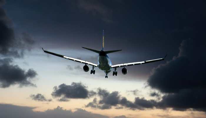 Delhi Woman Booked For Opening Dog's Cage On Goa-Bound Flight