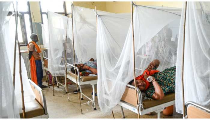 Dengue Cases Rise In Uttar Pradesh&#039;s Kanpur, Number Of Patients Crosses 200