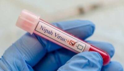 Nipah Virus Strikes Kerala: Symptoms, Prevention And Steps To Take If You Are Unwell - Know Details