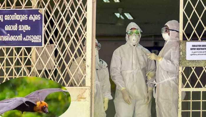 Two Deaths In Kerala Due To Nipah Virus; Monitoring Situation Seriously, Says CM Vijayan
