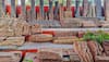 Ancient Idols, Pillars Found At Ram Janmabhoomi In Ayodhya, Says Trust Secretary