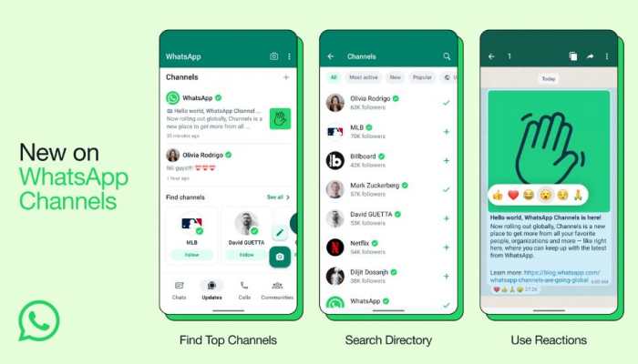 Now Get Updates From Indian Cricket Team, Akshay Kumar, &amp; Other Celebs On WhatsApp Through Channel -- Here's How