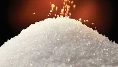 Why Are Sugar Stocks On The Rise? Dalmia Bharat Sugar, Balrampur Chini Mills, Triveni Engineering, Dwarikesh Sugar, Shree Renuka Stocks Soar