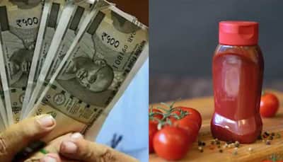 Business Idea: Invest Rs 1.18 Lakh, Earn Upto Rs 3.84 Lakh Yearly By Starting Tomato Sauce, Tomato Ketchup Manufacturing Business