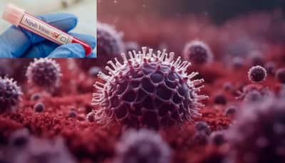 Nipah Virus Outbreak: 40-70% Fatality Rate, Can Spread By Droplets, Confirms ICMR