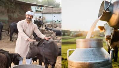 Nathuwas Village: This Unique Village In Haryana Distributes Free Milk And Lassi- Know All About It