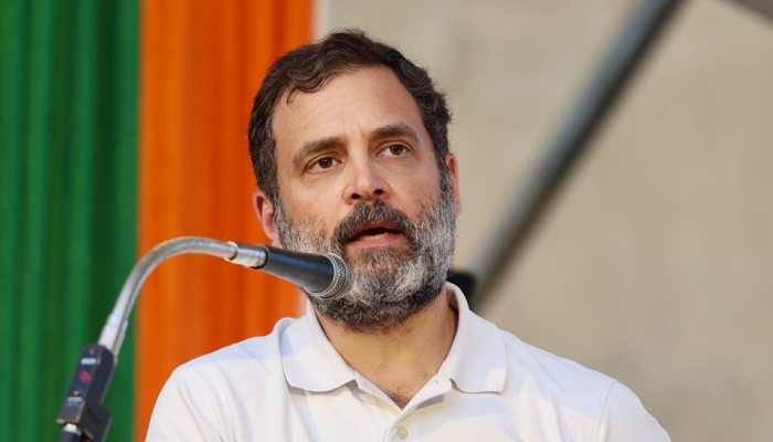 Make Public Caste Census Data; OBCs Should Get Their Dues: Rahul Gandhi