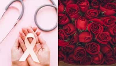 World Rose Day For Cancer Patients: 2023: Know Date, History And Significance