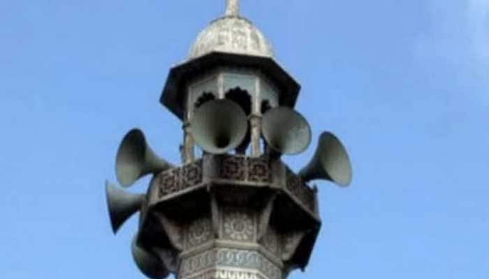 Delhi Govt Permits Use Of Loudspeakers During Durga Puja, Ramlila Celebrations, Check Details