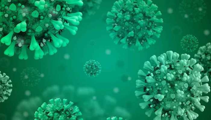 China's ‘Batwoman’ Virologist Warns Another Coronavirus Epidemic Is Highly Likely