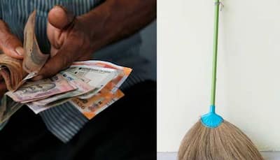 Sweeping Up Success: Invest Rs 60K And Earn Nearly Rs 5 Lakh, Check This Business Idea