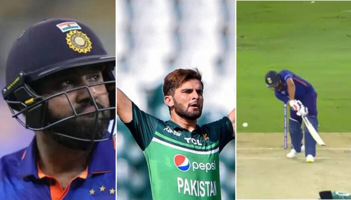 Cricket World Cup 2023: &#039;Rohit Sharma, Watch Your Pads,&#039; Dale Steyn Warns India Captain For Shaheen Shah Afridi - Watch