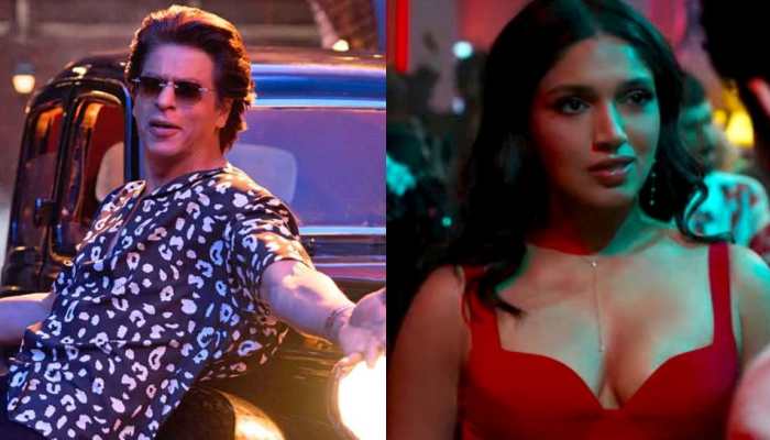 'Haanji' To 'Chaleya', 5 Latest Bollywood Tracks You Cannot Listen To Just Once
