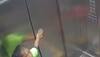 lucknow accident news