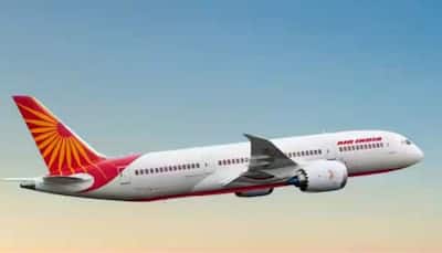 Air India Passenger Misbehaves, Abuses Cabin Crew On New York-Delhi Flight