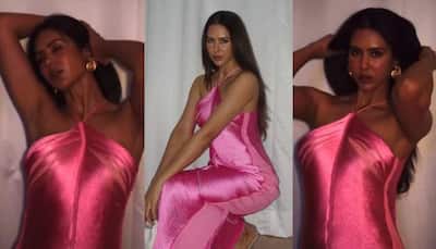 Sonam Bajwa Drops Sultry Video In Hot Pink Satin Dress, Fans Go 'Numb'