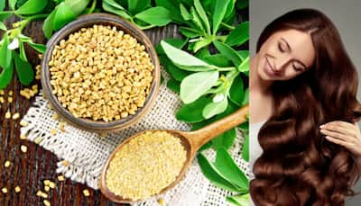 Fenugreek Seeds Health Benefits For Luscious Hair: Unlocking Haircare Secrets