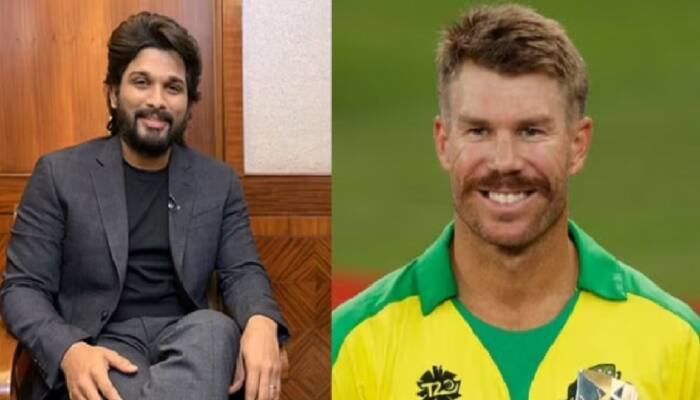 Australian Cricketer David Warner Grooves On Allu Arjun&#039;s &#039;Pushpa&#039; Song, Video Goes Viral