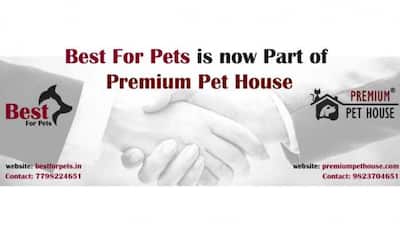Premium Pet House Announces The Acquisition Of BestForPets To Reach More Canine Lovers Across India