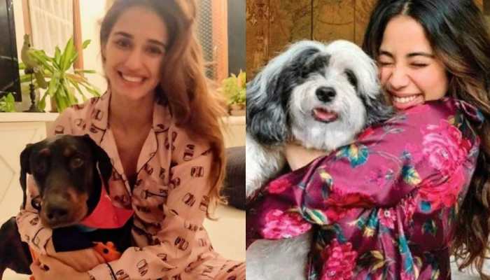 Pretties And Pooches: Janhvi Kapoor To Disha Patani Bollywood Divas With Their Adorable Furry Friends 