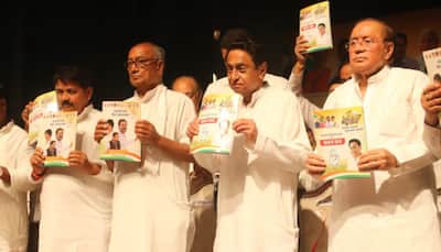 Health Insurance, OBC Quota, IPL Team In Congress' Manifesto For MP Elections; Key Points