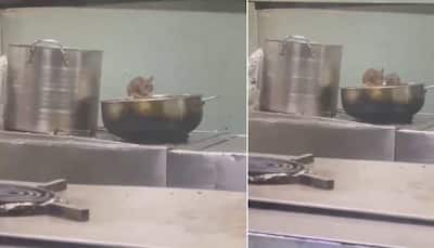 Viral Video Shows Rats Eating Food Meant For Passengers Allegedly On LTT-Madgaon Express, IRCTC Responds