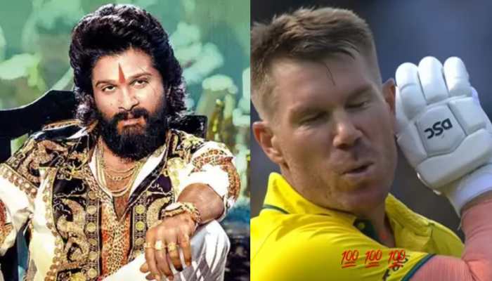 Australian Cricketer David Warner Imitates Iconic &#039;Thaggedele&#039; Step From Allu Arjun&#039;s Pushpa: The Rise