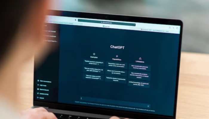 ChatGPT Helps Two Entrepreneurs To Build A Business Now Valued at Over Rs 1.2 Crore By Investing Mere Rs 15,000