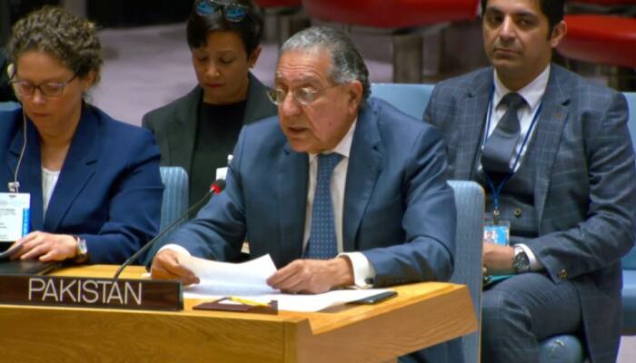 Pakistan 'Defends' Terrorism, Compares Kashmir To Palestine At UN, India Snubs It