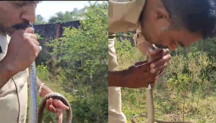 MP Cop Gives CPR To Unconscious Snake, What Happened Then? Watch Viral Video